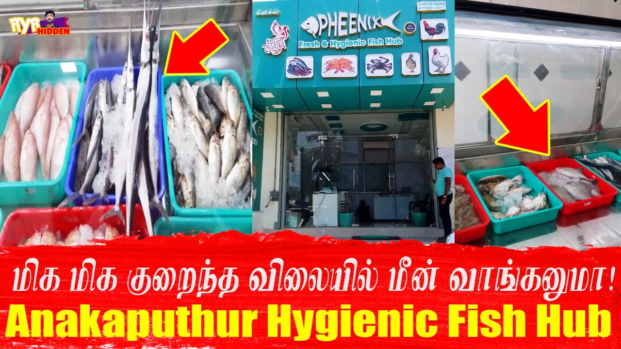 Hygienic Fish Hub in Chennai ❤ Pheenix Anakaputhur ❤ Must try ❤ 
