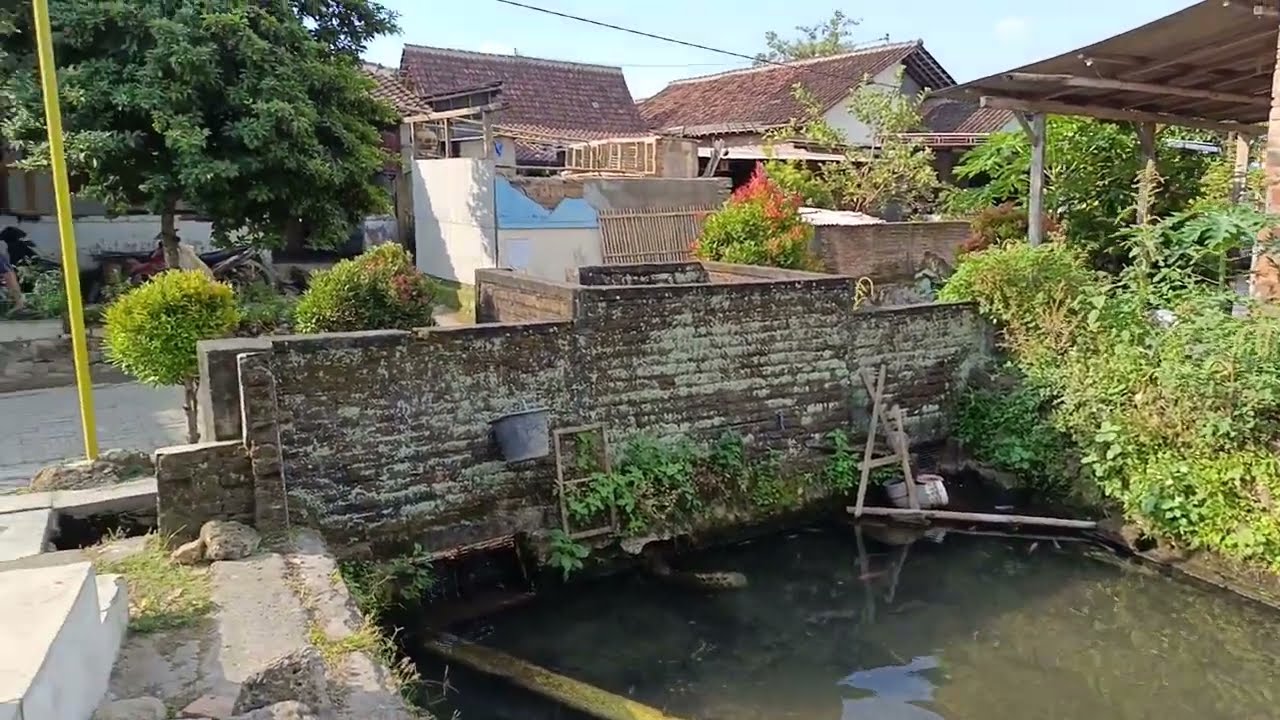 dijual Tanah pekarangan ada kolam ikan yg airnya mengalir sepanjang tahun dari Sumber mata air.