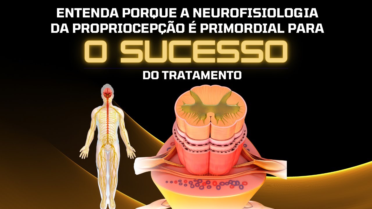 Por que entender a neurofisiologia da propriocepção é primordial para o sucesso do tratamento?