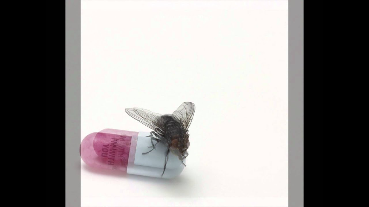 Red Hot Chili Peppers - Look Around