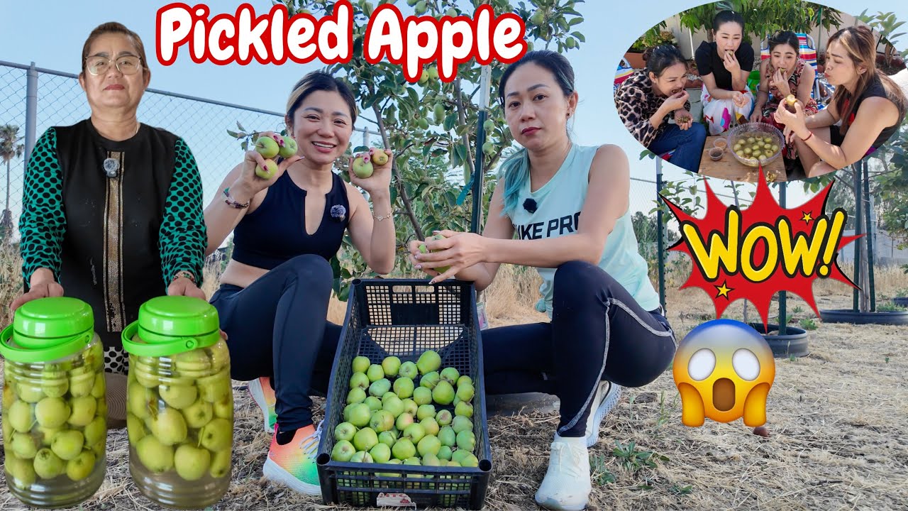 How To Make Delicious Pickled Apple | របៀបធ្វេីជ្រក់ផ្លែប៉ោម | (4K)