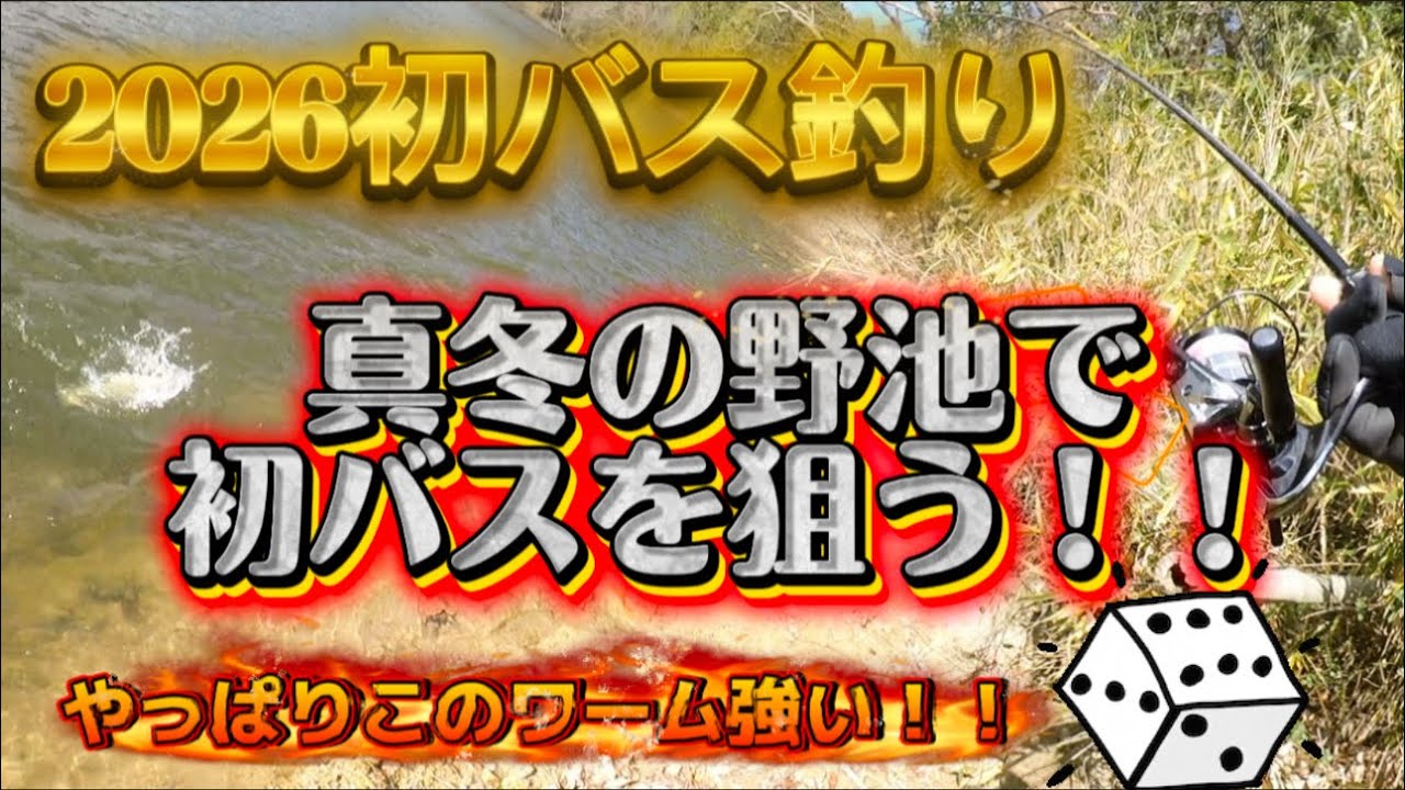 真冬の野池で初バスを狙う！！2026年初バス釣り！！やっぱりこのワーム強い！！🎲 【野池】【三重野池】【三重県野池】【大江川】【五三川】【琵琶湖】【サイコロラバー】【バス釣り】【冬バス】