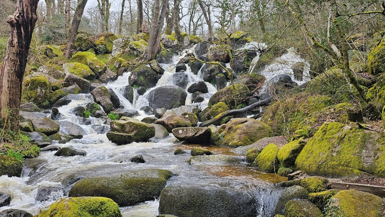 Exploring Becky Falls: Legends, Nature & Hidden Magic | A Journey Through Ancient Woodlands
