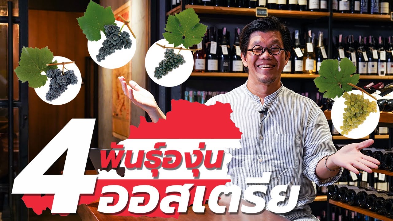 4 พันธุ์องุ่นออสเตรีย | Swirl Experience