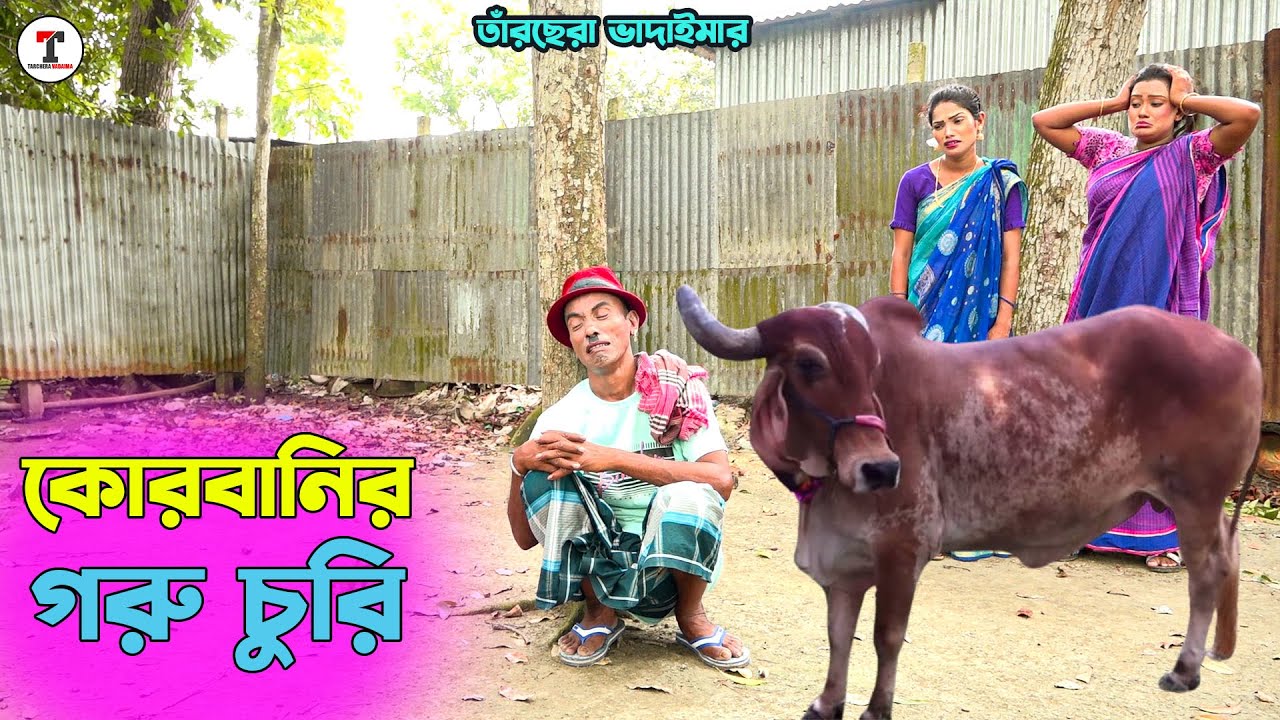 তাঁরছেরা ভাদাইমার নতুন কৌতুক 