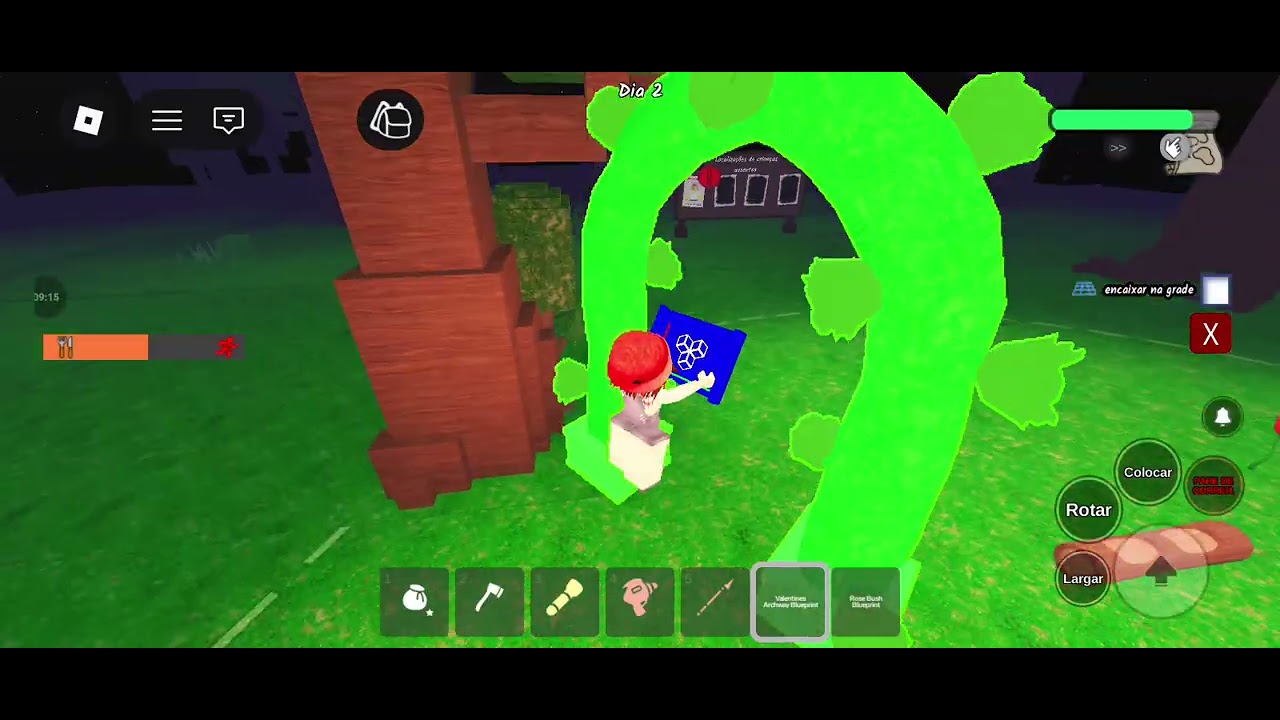 Jogando com o meu irmão e minha irmã 