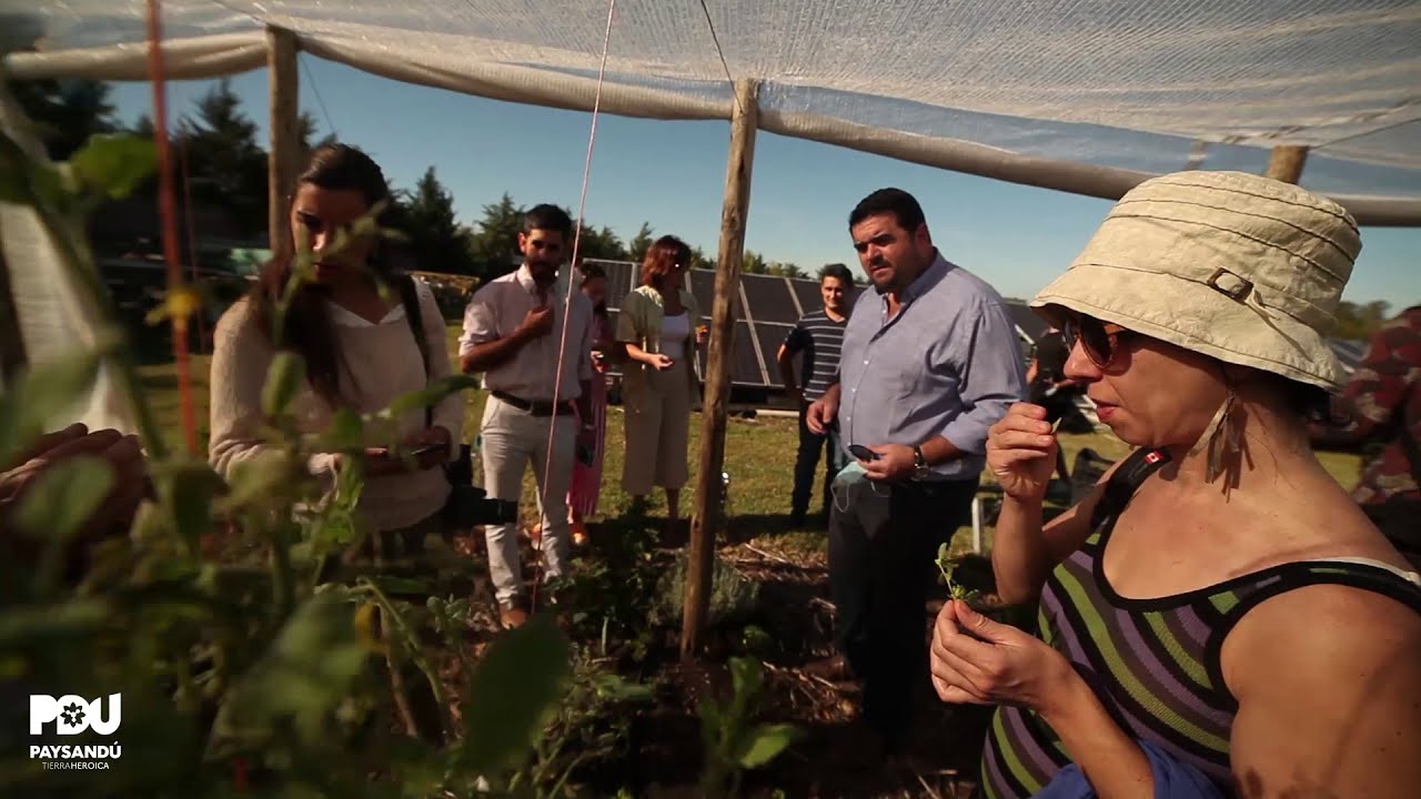 1era. Cata Nacional del Tomate en Paysand&uacute;