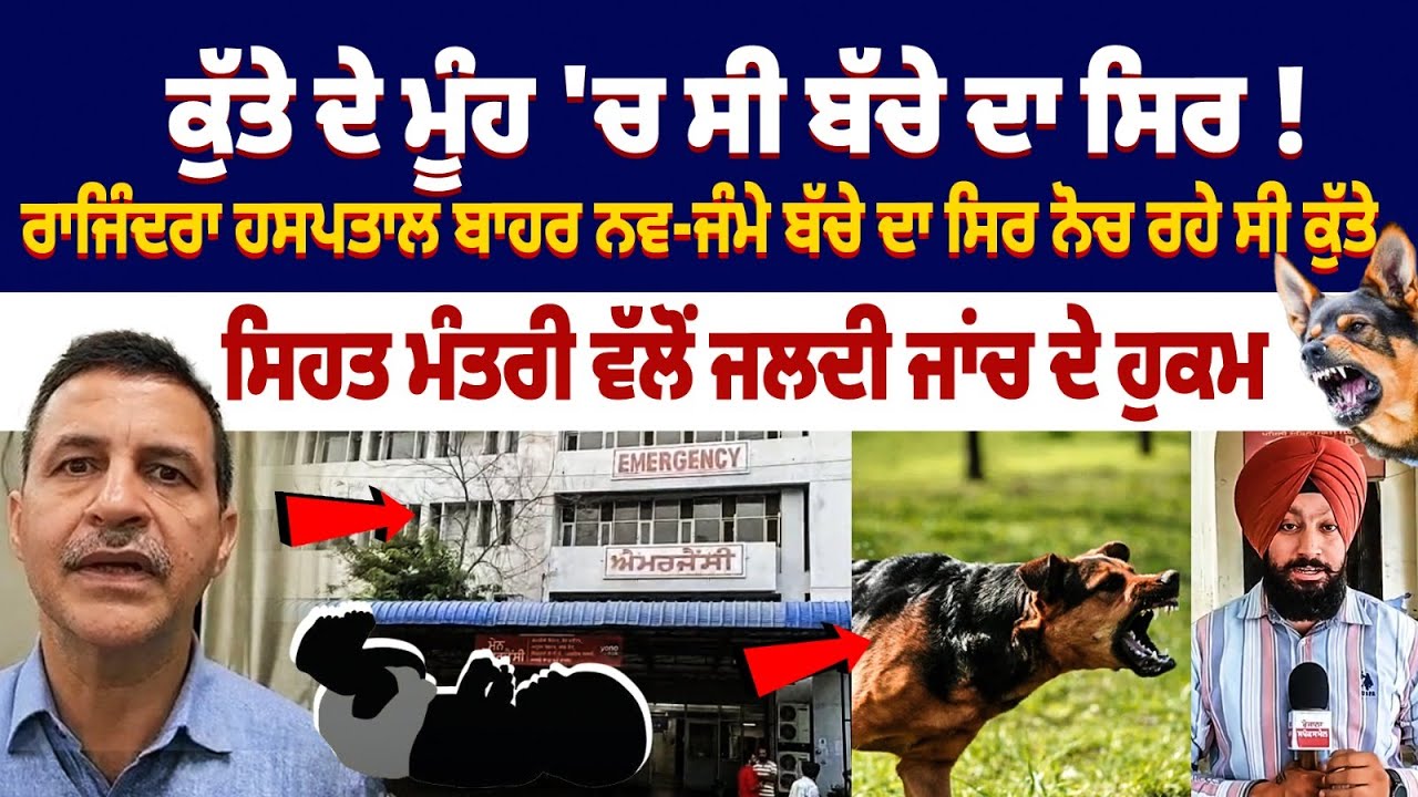 PATIALA NEWS | RAJINDRA HOSPITAL ਕੁੱਤੇ ਦੇ ਮੂੰਹ 'ਚ ਸੀ ਬੱਚੇ ਦਾ ਸਿਰ !  ਕੀ ਇਹ ਗੱਲ ਆਮ ਹੈ?....