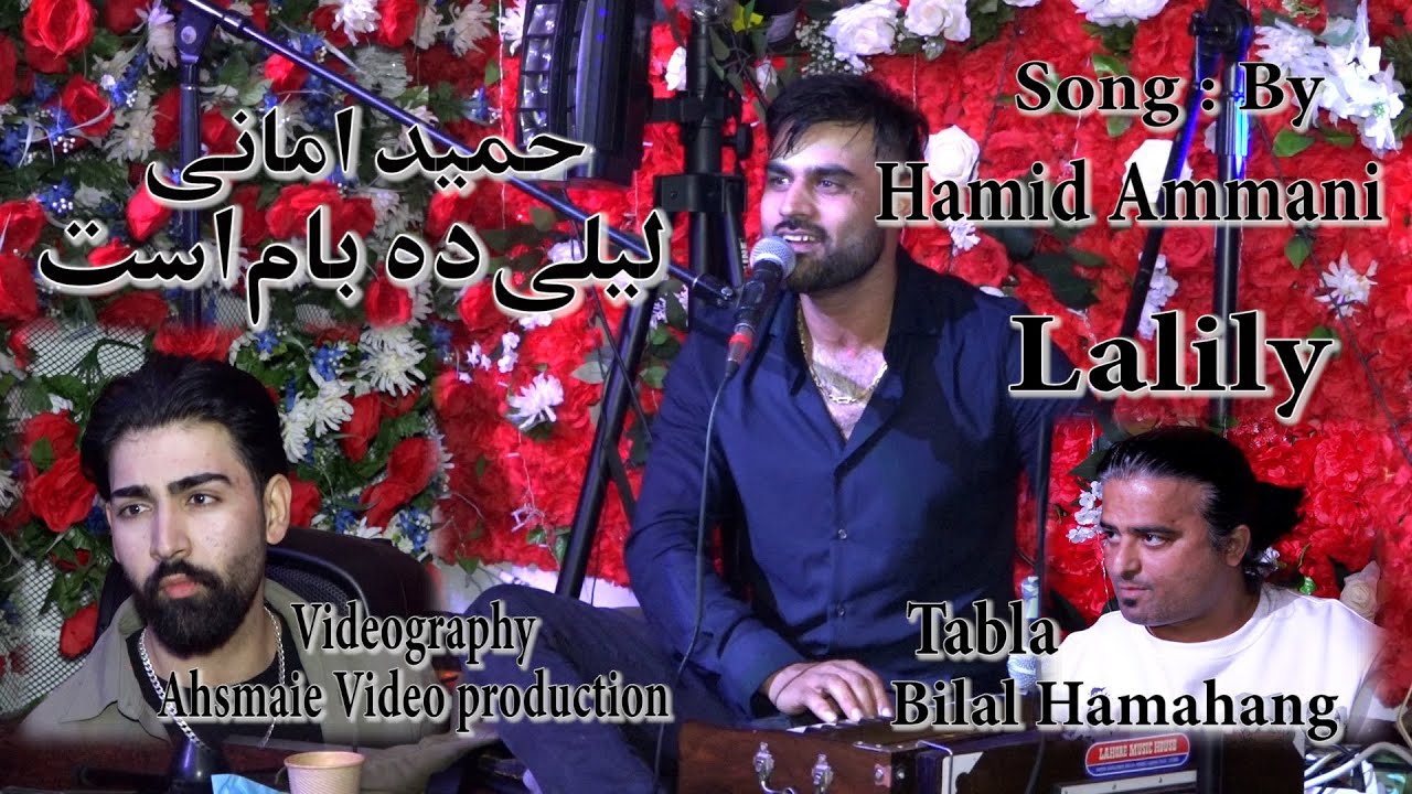 Hamid Amani  Laili Da Bam Ast_  حمید امانی آهنگ  لیلی ده بام است مجلسی