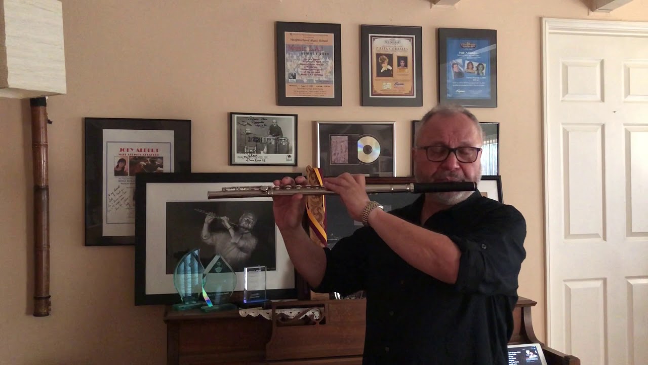 I Am Ever With You - Cover