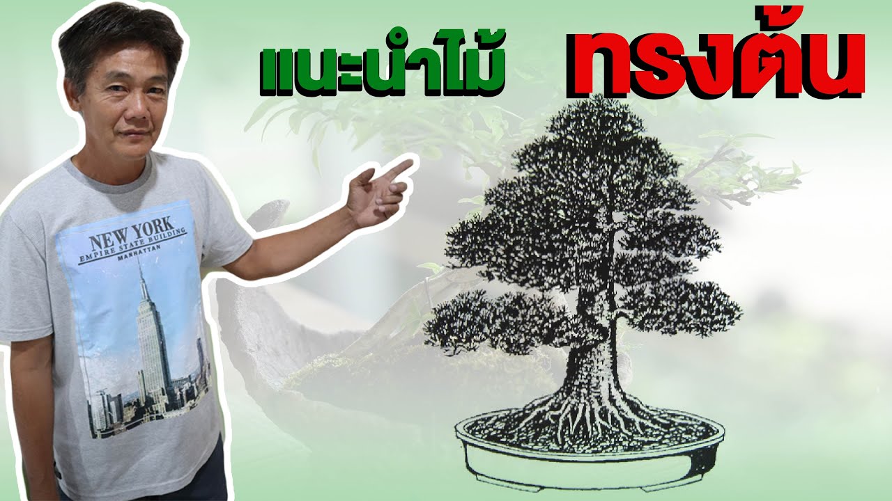 Bonsai Station [Freshy Station] EP. 2 แนะนำ เรื่อง ทรงต้น