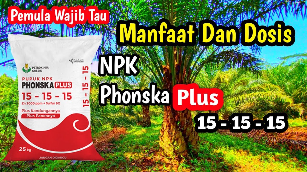 Manfaat Dan Dosis || NPK Phonska Plus 15 - 15 - 15 Untuk Kelapa Sawit