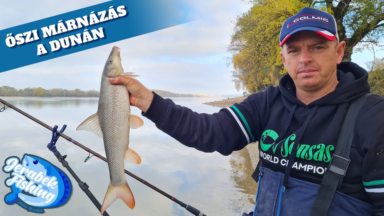 Őszi márnázás a Dunán feederbottal
