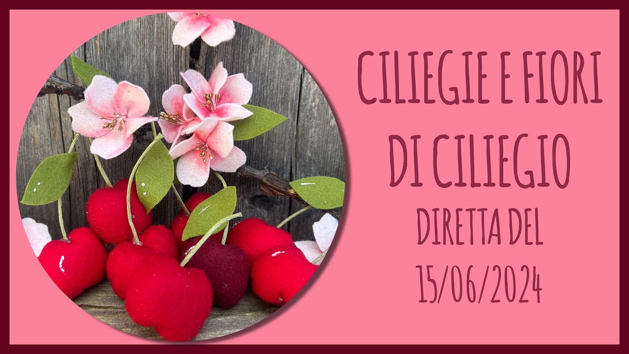 CILIEGIE E FIORI DI CILIEGIO - DIRETTA DEL 15/06/2024