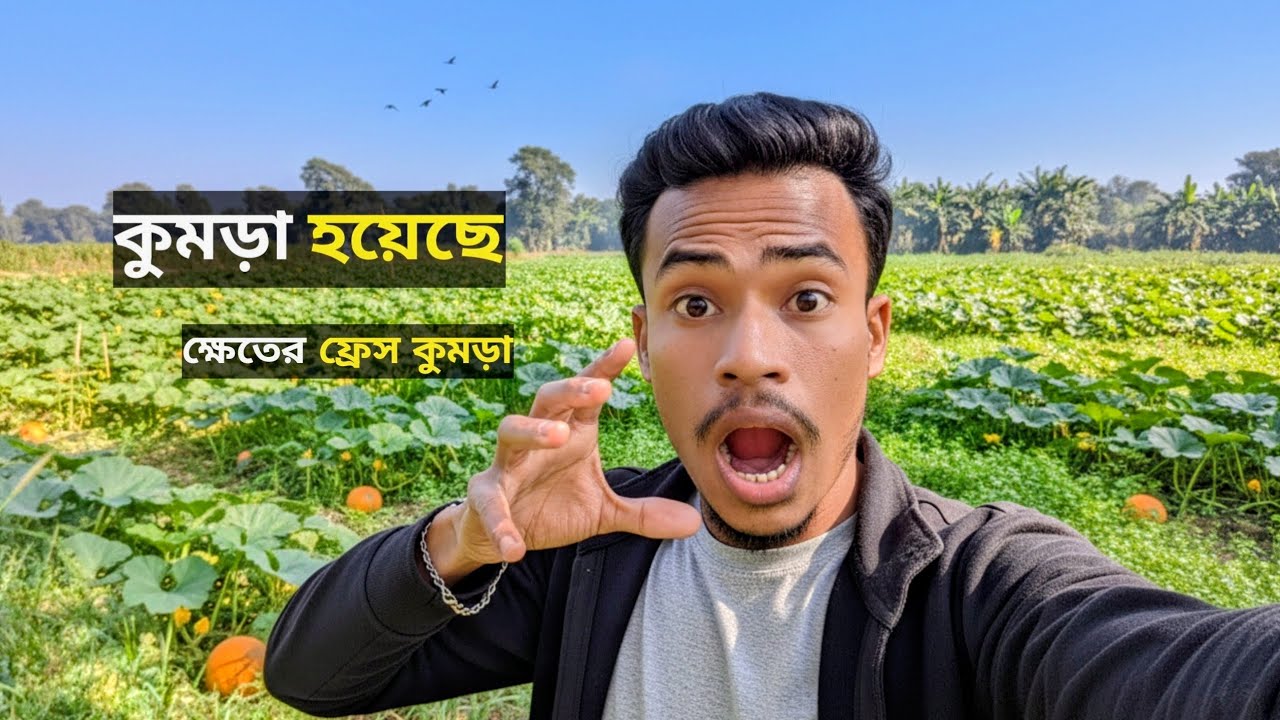 রমজানের আগেই কুমড়ো ফুলে ভরে গেছে বাগান! সতেজ ধনিয়া পাতার মায়াবী দৃশ্য  | Village Vlog