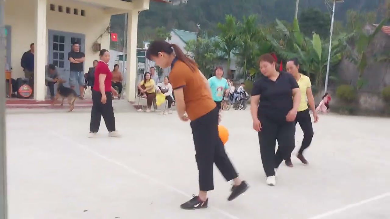 Bóng chuyền Tuyên Quang 2