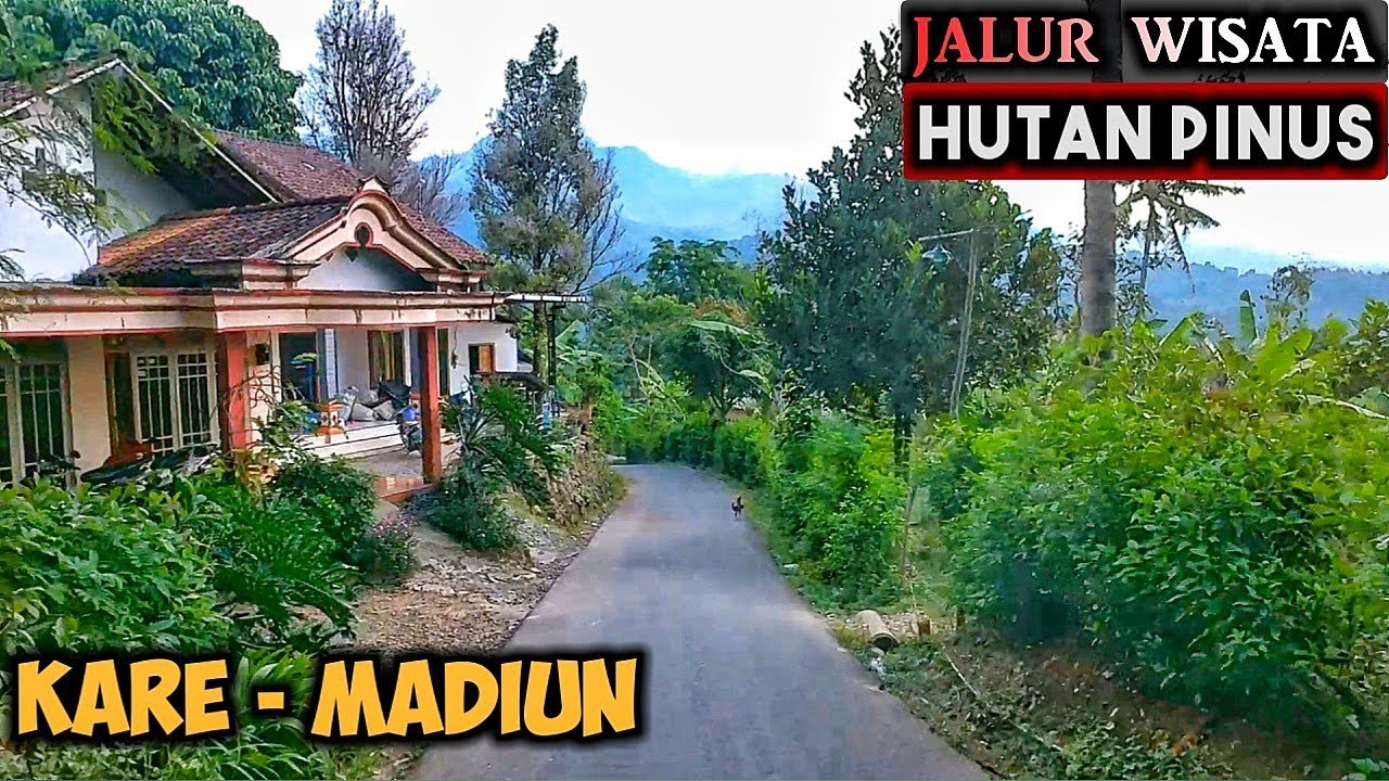 Jalur WISATA Hutan Pinus Kare MADIUN 2022 - Suasana Asri Pegunungan