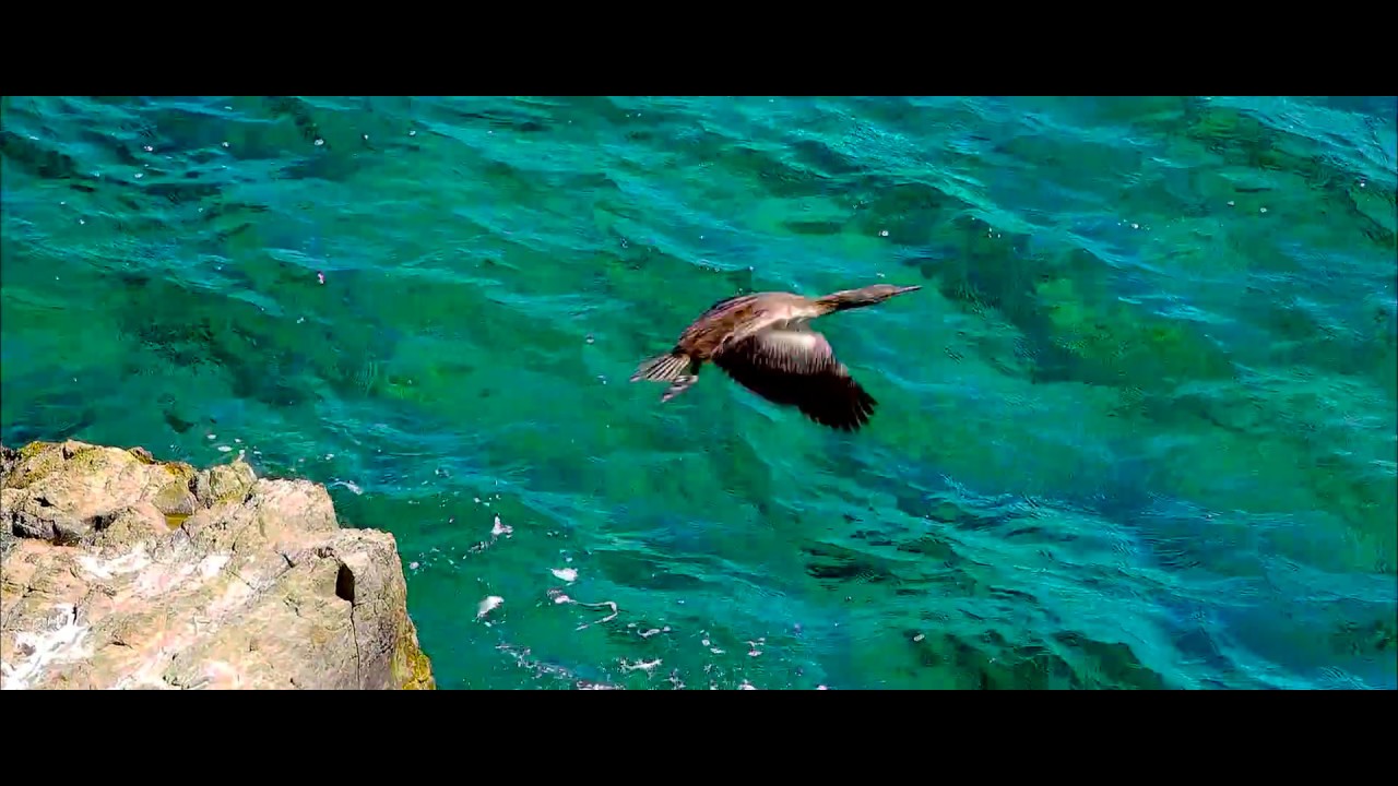 Impressioni di Liguria - Imperia in Ligurien 2016