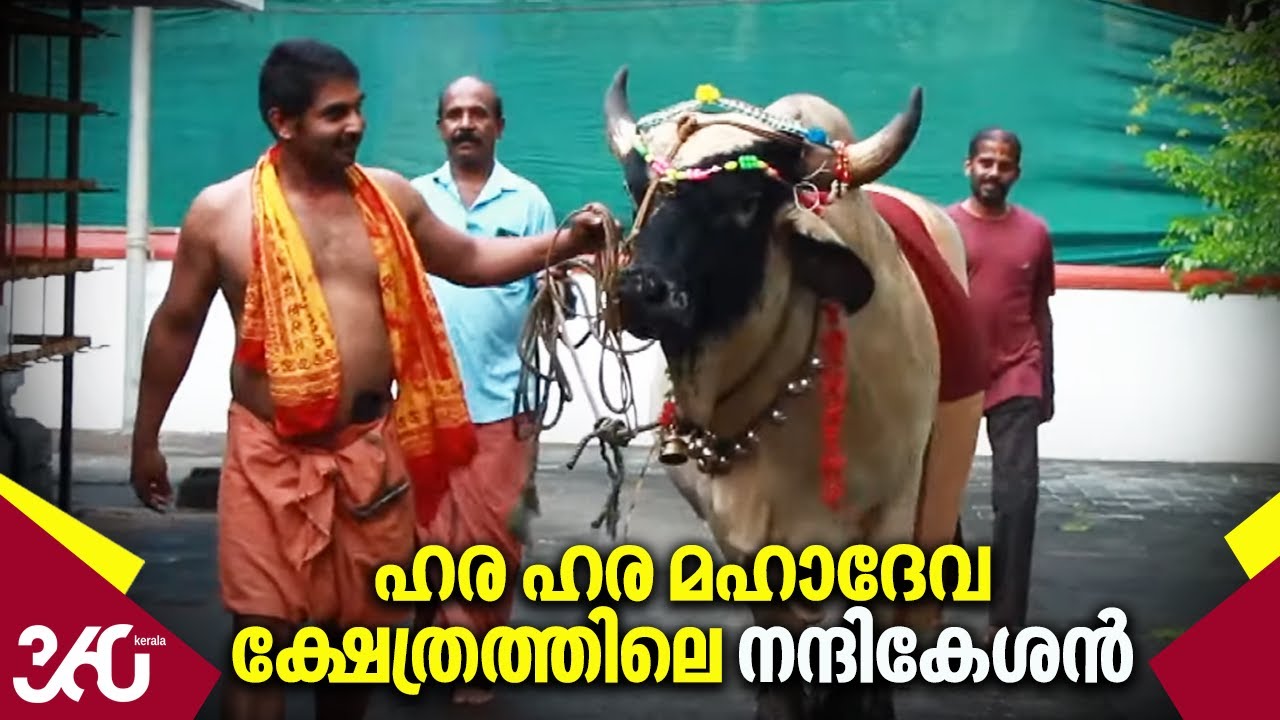 ഹര ഹര മഹാദേവ ക്ഷേത്രത്തിലെ നന്ദികേശൻ | Sree Hara Hara maha deva Temple | Karanthur