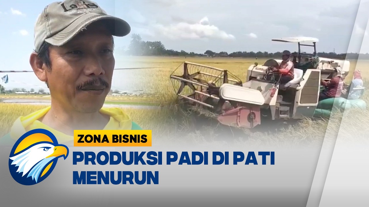 Cuaca Ekstrem, Produksi Padi di Pati Turun 20 Persen - [Zona Bisnis]