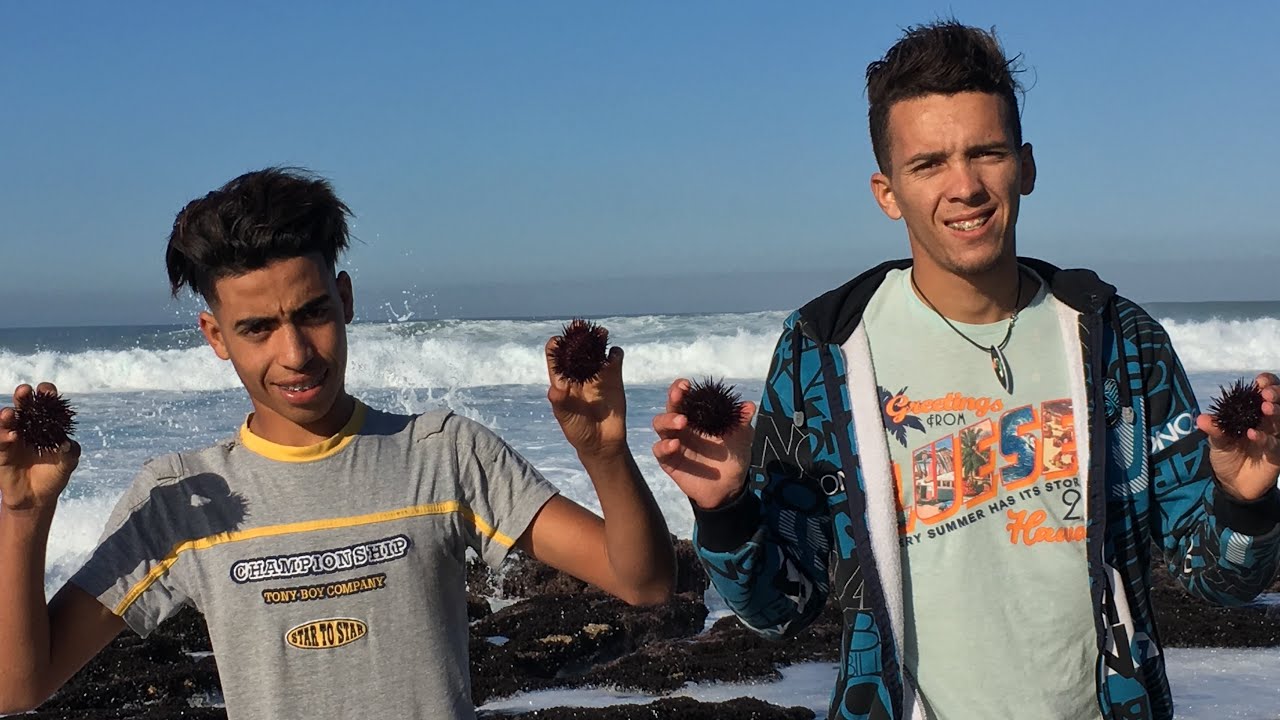 اعداد وجبة خطيرة من قنفد البحر  eat sea Urchin