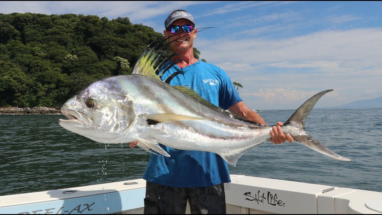 GIANT Roosterfish on Live Bait
