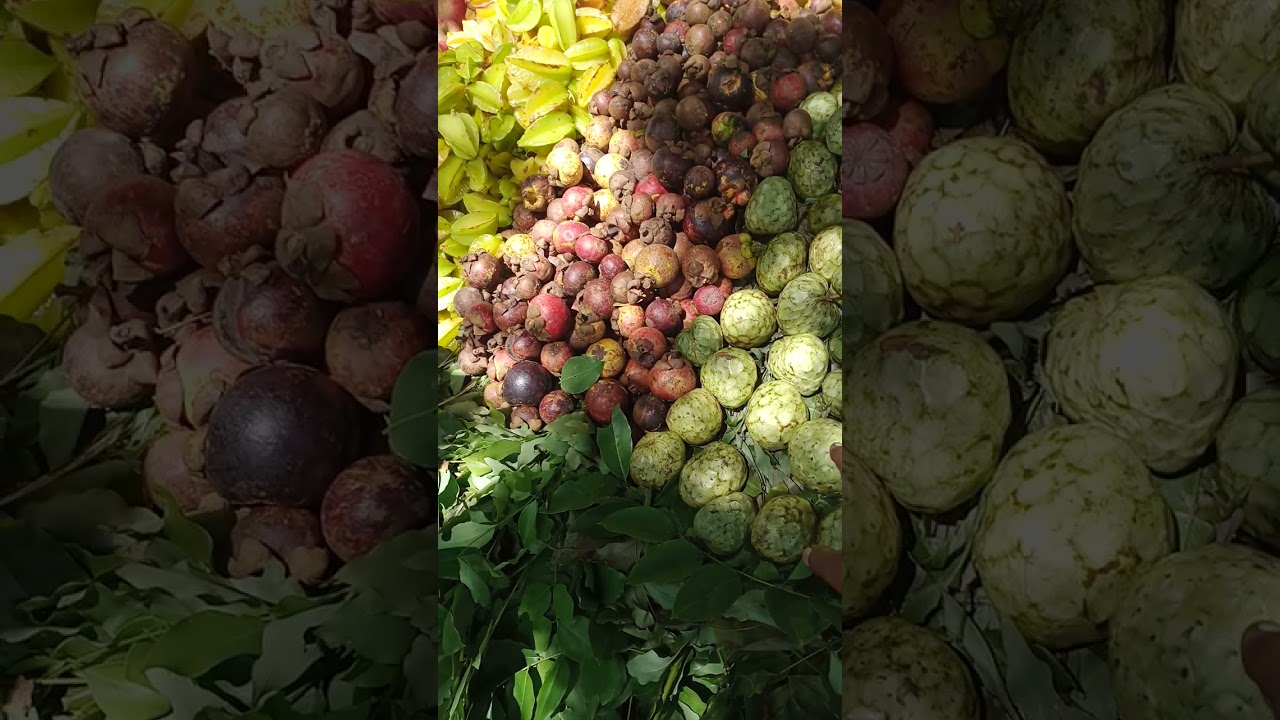 Healthy Fruits from the Western Ghats