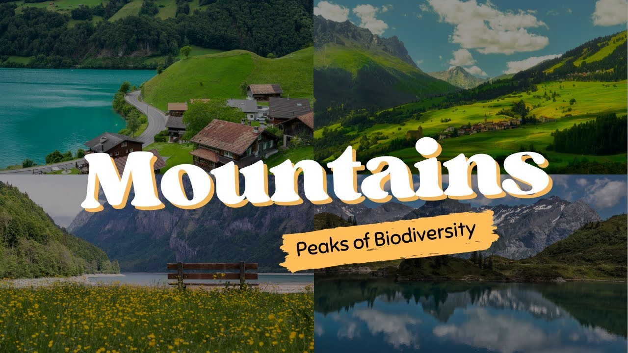 Горы: Вершины биоразнообразия &ndash; Симфония жизни природы