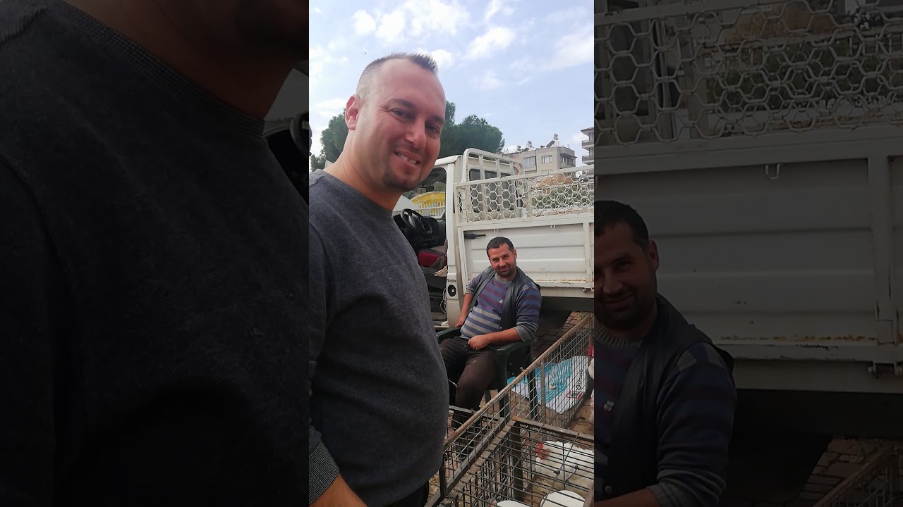 Ödemiş tavuk pazarı