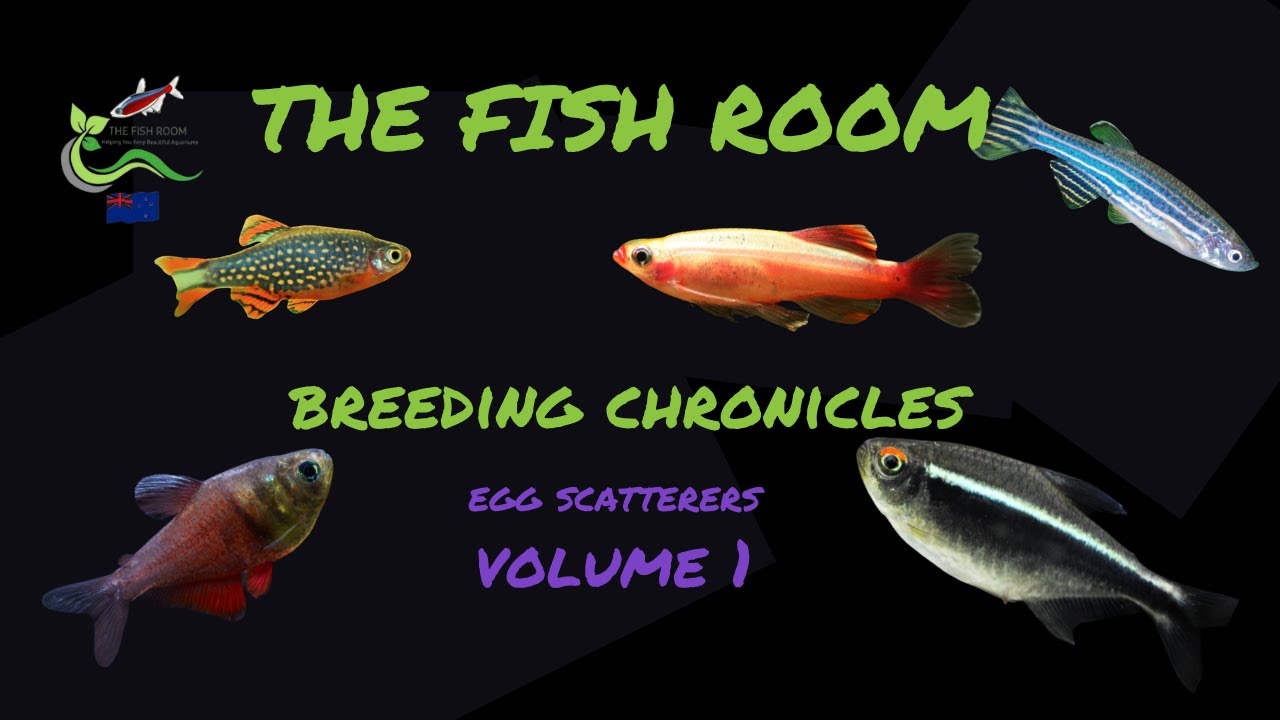 Хроники разведения. Том 1 - Разбрасыватели яиц.