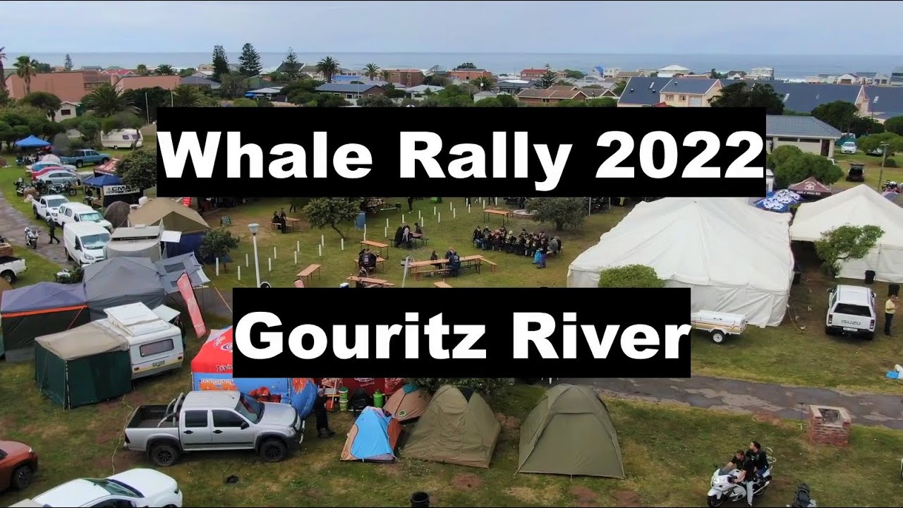 Whale Rally 2022