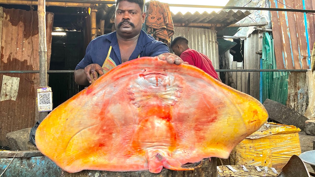 KASIMEDU SPEEDSELVAM BIG SIZE STINGRAY FISH CUTTING VIDEO #kasimeduselvam #fishcutting 