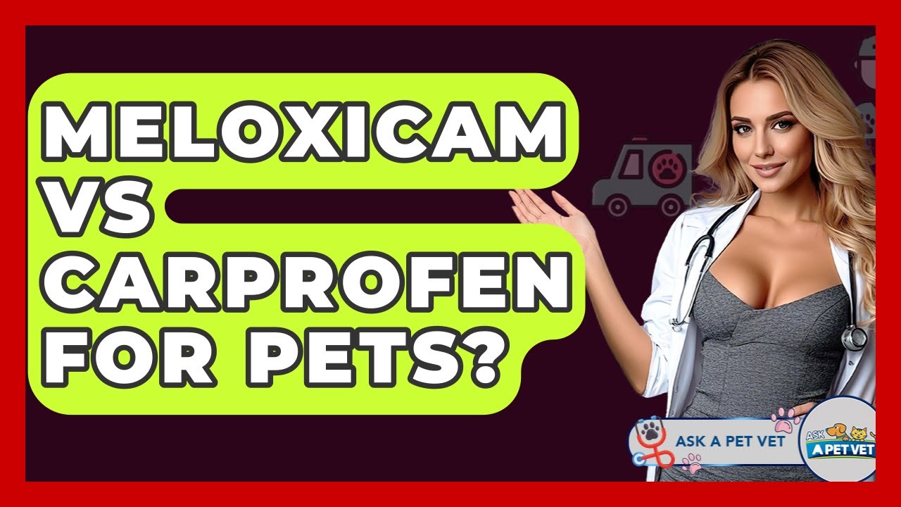 Meloxicam Vs Carprofen For Pets? - Ask A Pet Vet