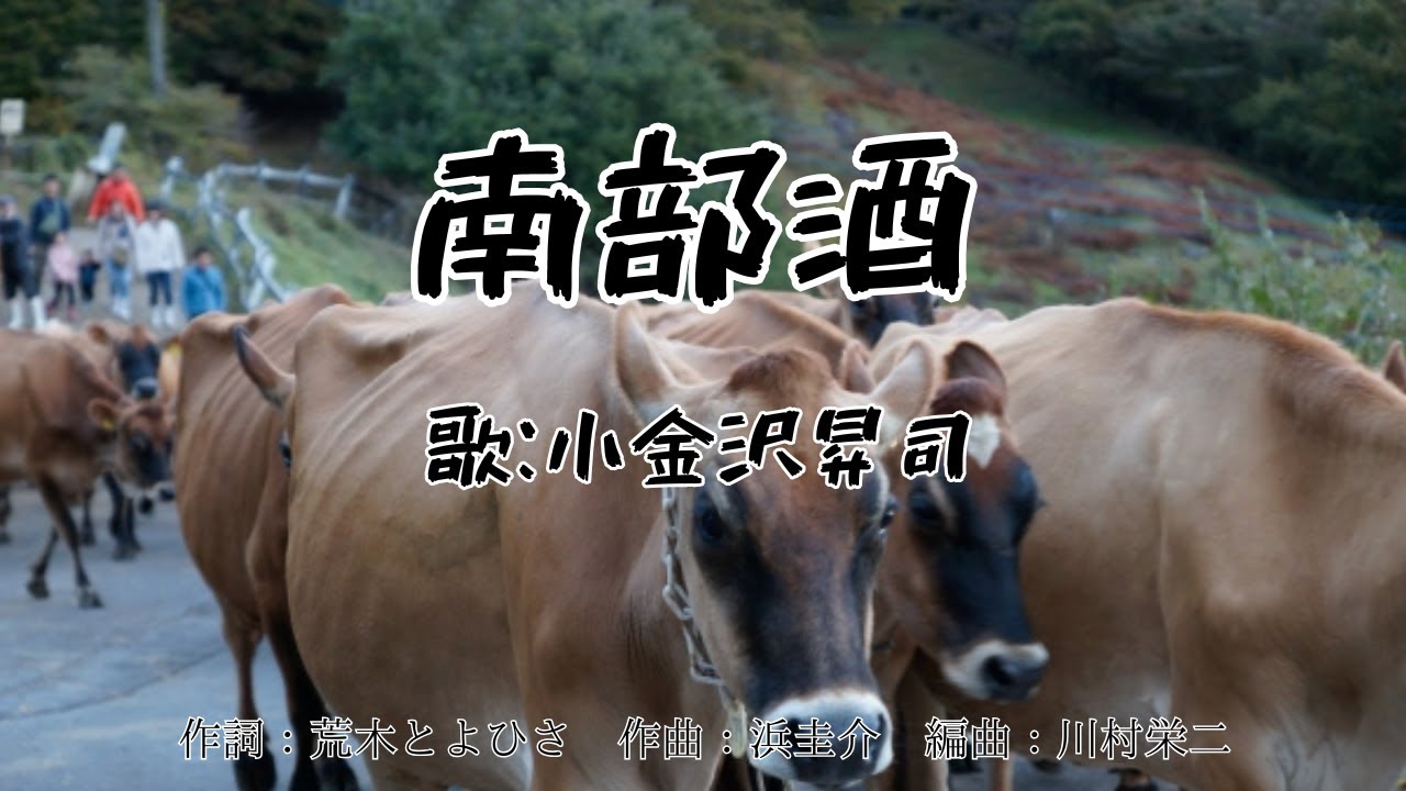 南部酒　小金沢昇司