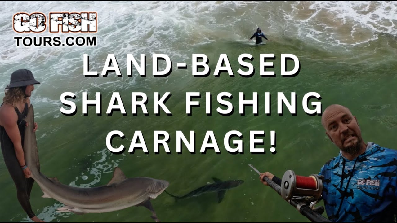 Two days of epic land based shark carnage with Go Fish Tours, Mossel bay