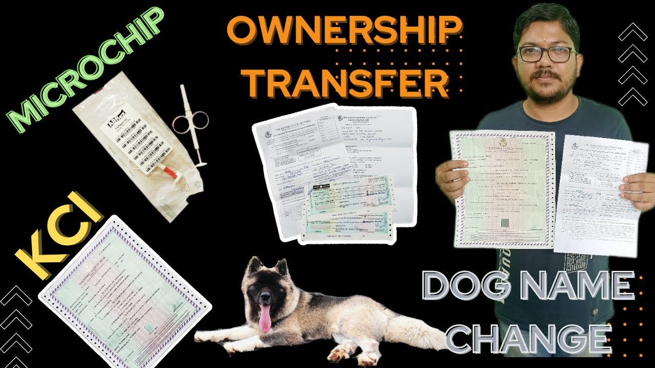 Detail info about KCI Certificate, Microchip, Ownership Change & Dog's name change 