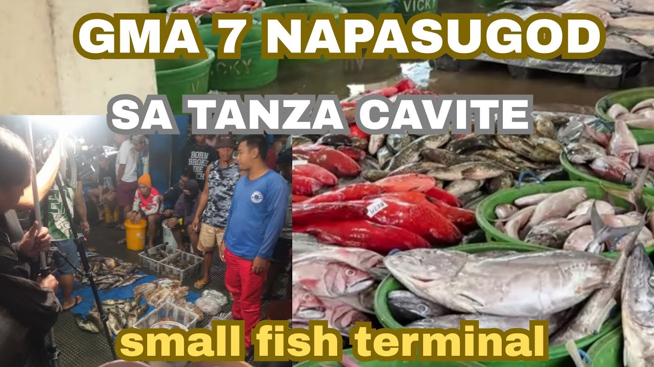 PINAGKAGULOHAN MGA ISDA SA TANZA CAVITE GMA 7 NAPASUGOD