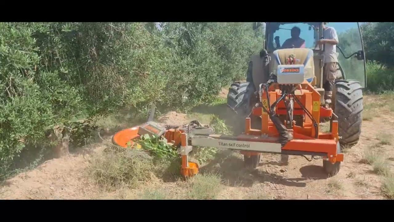 DISCO CORTA HIERBA INTERCEPAS OLIVOS