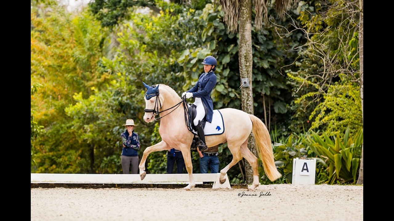 Iron Spring Farm's Catherine Malone and Opium SR at Welcome Back to White Fences I 2026 #dressage