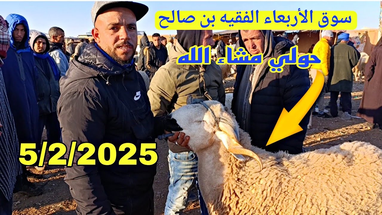 اليوم من سوق الأربعاء الفقيه بن صالح الحولي والحولية والنعجة تاريخ 5/2/2025 مع الأثمنة فرجة ممتعة 🐑🐏