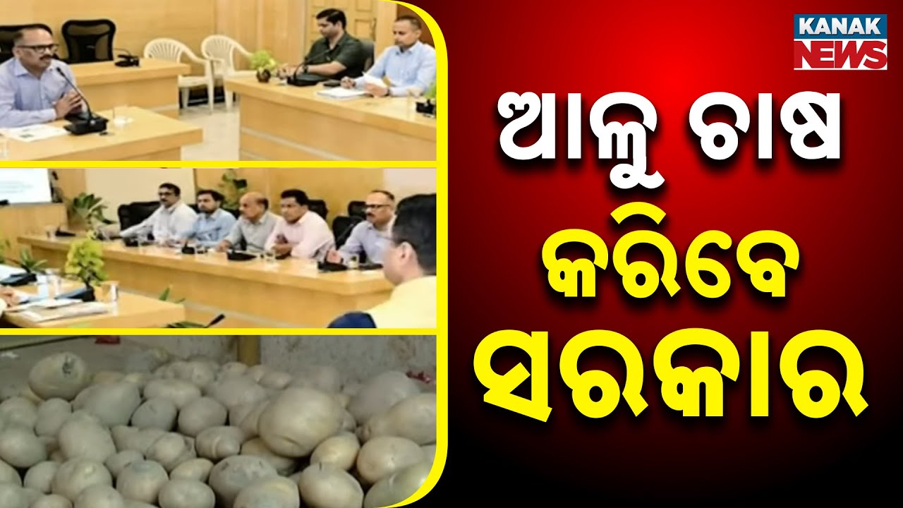 Odisha Government Launches Major Potato Cultivation Drive