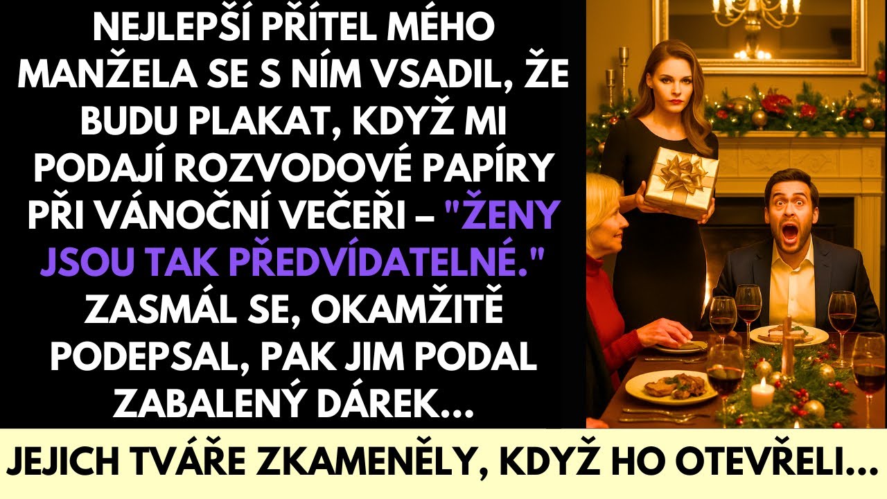 Vsadil Se, Že Budu Plakat, Až Dostanu Rozvod O Vánocích—Takže Dostal Dárek, Kterého Lituje
