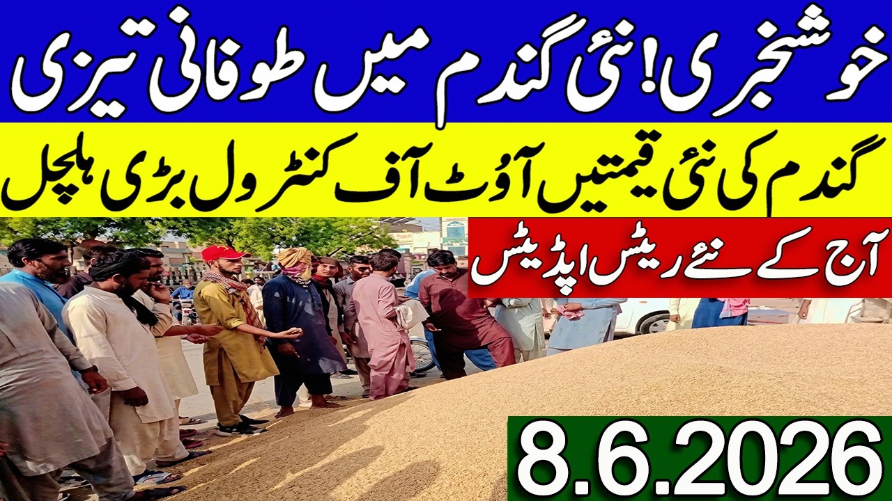 New Gandum Rates Today 2026 || New Wheat Price Today || Gundam kay Rates Today 2026