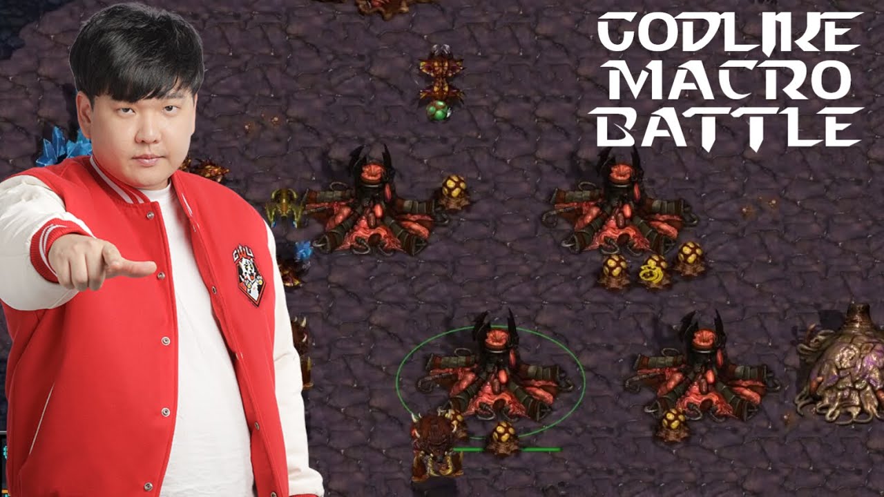 HERO Godlike Macro Battle Zerg vs Protoss  - Starcraft Broodwar