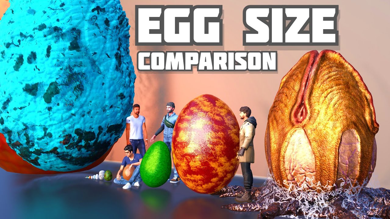 Realistic Egg Size Comparison | Animal Egg | Godzilla Egg | Monster Egg