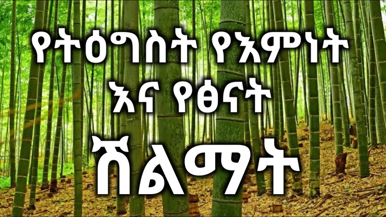 ስለ ትዕግስት ፣ እምነት ፣ ፅናት እና እድግት ምሳሌ  || Examples of patience, faith, persistence and growth #JosyB