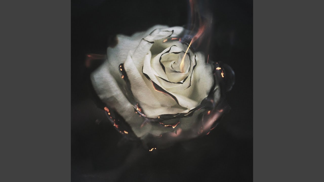 Embers