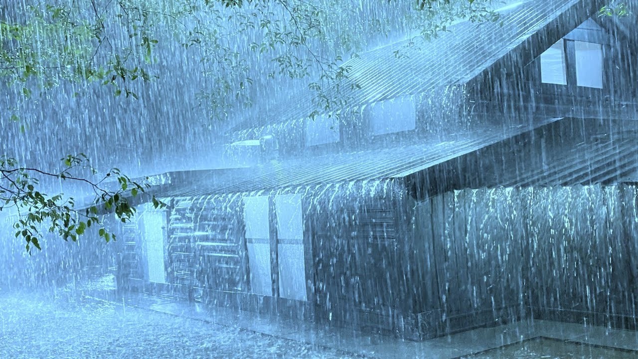 Lull to Sleep with White Noise of Heavy Rain & Thunder Sounds on a Tin Roof in Rainforest at Night