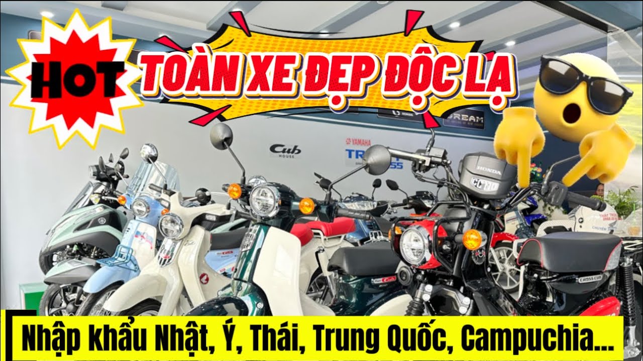 Tất tần tật XE NHẬP ĐỘC LẠ SỐ ĐẸP tại CubHouse, CubShop bán tại Việt Nam