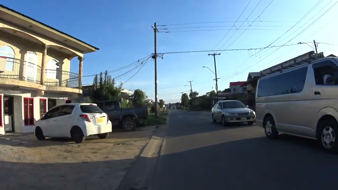 PARAMARIBO - Mangolaan